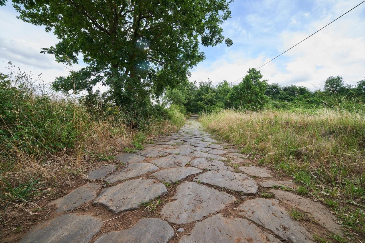 Alloggio Turistico Centro Storico Malatesta Montefiascone Exteriör bild